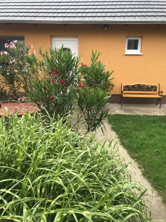 Dália apartman Gyömrő Exterior foto
